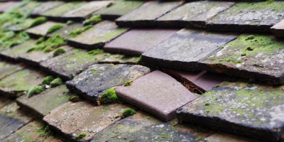 Renhold roof repair costs